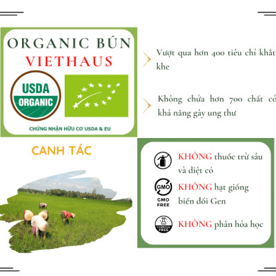 Bún Hữu Cơ Viet Haus