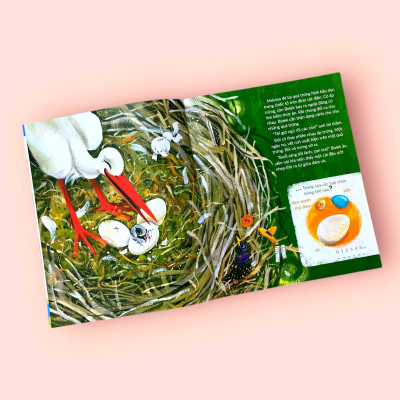 Sách cho bé - Tuli Tuli Kể Chuyện Nhà Ai Ở Đâu - Nhà Chim Trên Đồng Cỏ - Sách tranh cho bé