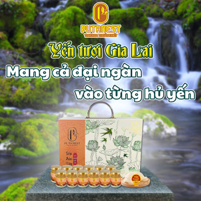 Yến chưng Đông trùng hạ thảo PUTANEST hộp quà tặng cao cấp 12 hũ 70ml đẹp da tăng sức đề kháng