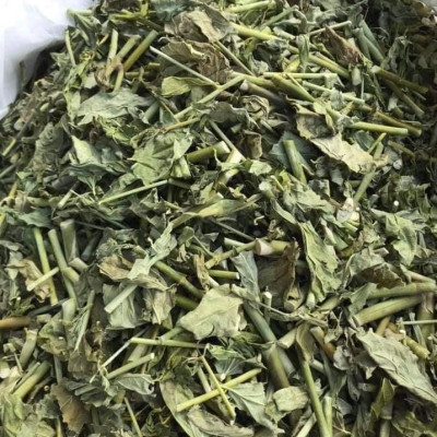 Cây xương khỉ (Cây bìm bịp - Cây mảnh cộng)  - Sản phẩm khô về làm trà ( Gói 1kg)