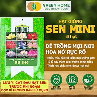 Hạt Giống Hoa Sen Mini Rado GreenHome, Gói 5 Hạt, Nhiều Màu, Dễ Trồng, Dễ Chăm, Nảy Mầm Tốt H21