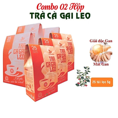 Combo 02 Hộp Trà Cà gai leo Thái Hưng 25 túi lọc x 05g (125g) - Mát gan, giải độc, giải rượu, giảm mụn nhọt
