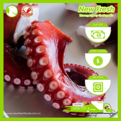 Râu Bạch Tuộc Tako Nhật Bản - Khay 500Gr