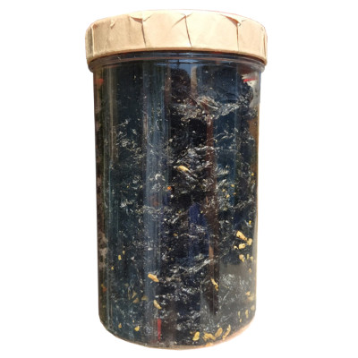 Rong Biển Sấy Tỏi Ớt Thương Hiệu Tân Lộc Phát - Hũ 100G