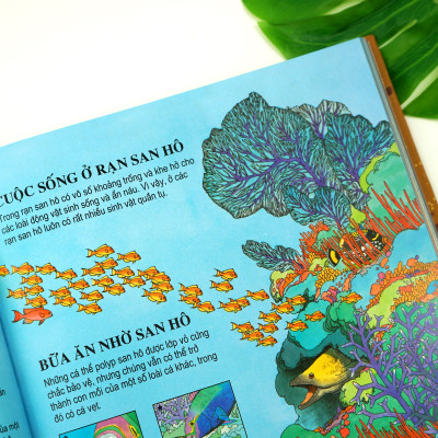 Sách Thiếu Nhi – Bách Khoa Tri Thức Dành Cho Trẻ Em – Đinh Tị