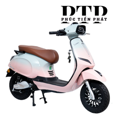 Xe Ga Điện Ally Vegas EV