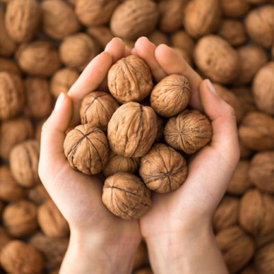 Quả Óc Chó Vàng Mỹ Nguyên Vỏ Chuẩn Hàng Nhập Khẩu, Không hôi dầu, Tặng dụng cụ tách vỏ