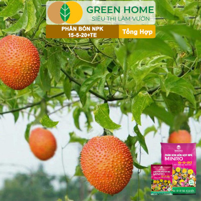 Phân NPK 15-5-20 Greenhome, Minro, Bao 200gr, Kích Ra Hoa, Tăng Đậu Trái Trên Kiểng, Cây Ăn Trái, Củ, Quả