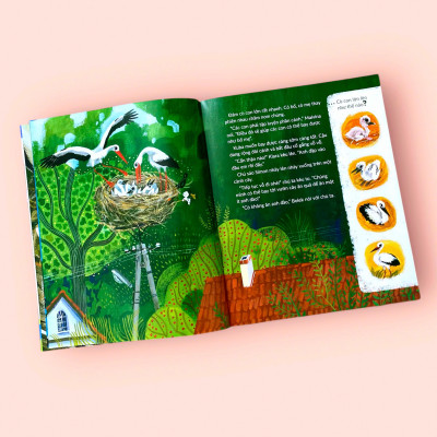 Sách cho bé - Tuli Tuli Kể Chuyện Nhà Ai Ở Đâu - Nhà Chim Trên Đồng Cỏ - Sách tranh cho bé