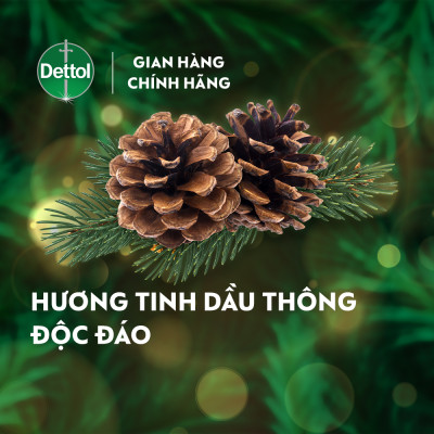 Nước rửa tay diệt khuẩn Dettol - Chai 250g
