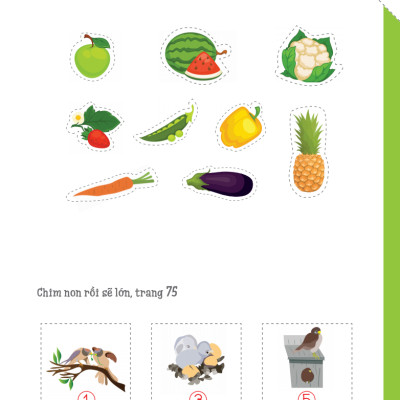 Cuốn Sổ Lớn Montessori Về Khám Phá Khoa Học (Bìa Mềm)