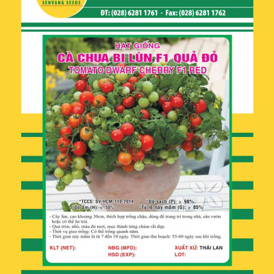 Hạt giống cà chua Bi Lùn Đỏ F1 VTS135