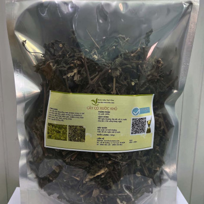 Cây cỏ xước - Sản phẩm hữu cơ tự nhiên ( Làm trà uống hằng ngày) - khô 1kg