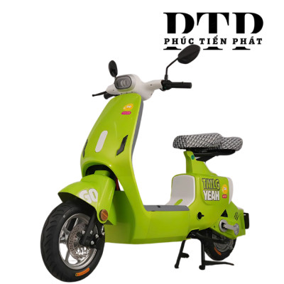 Xe Điện TAILG GR55