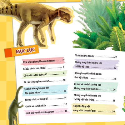 Kiến Thức Về Khủng Long - Cổ Khủng Long Mamenchisaurus Dài Bao Nhiêu? Cơ Thể Khủng Long Chứa Đầy Bí Mật