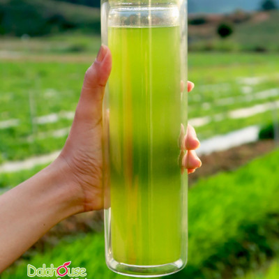 Bột cỏ lúa mì hữu cơ sấy lạnh Dalahouse - Nguyên chất, không đường