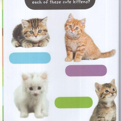 Sách ngoại văn: Baby Animals Sticker Activities