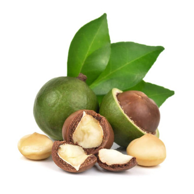 Hạt Macca Nứt Vỏ Nhập Khẩu Bổ Dưỡng Thương Hiệu SK FOOD - Hũ 500G