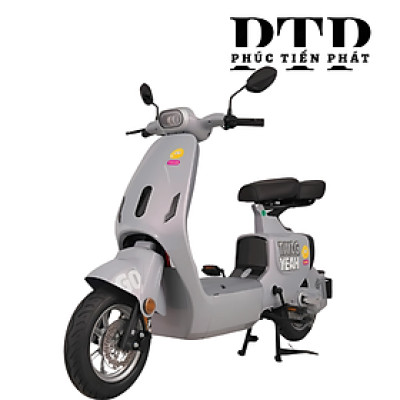 Xe Điện TAILG GR55