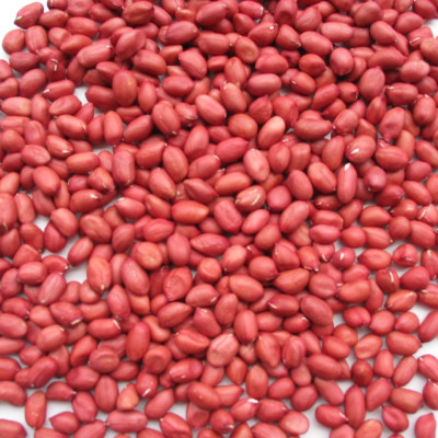 Lạc Nhân Cúc Đỏ Lý Tưởng 400g, Đậu Phộng Khô Đỏ