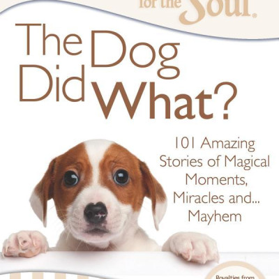 Chicken Soup For The Soul: The Dog Did What?: 101 Amazing Stories Of Magical Moments, Miracles And... Mayhem