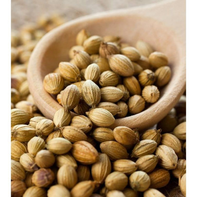 Hạt Ngò Ông Chà Và 110g (Coriander Seeds)