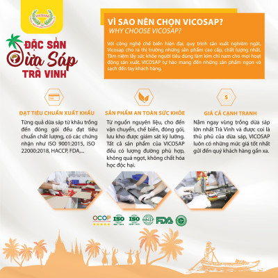 Combo 1 Dừa sáp sấy giòn VICOSAP 1 Bánh dừa sáp chuối ít đường đồ ăn vặt healthy đặc sản Trà Vinh