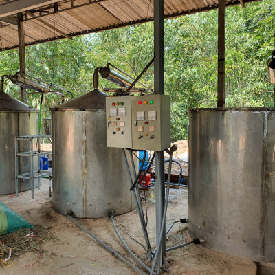 Tinh dầu Bưởi Chùm (bưởi Hồng, bưởi Úc) 100ml Mộc Mây - tinh dầu thiên nhiên nguyên chất 100% - chất lượng và mùi hương vượt trội