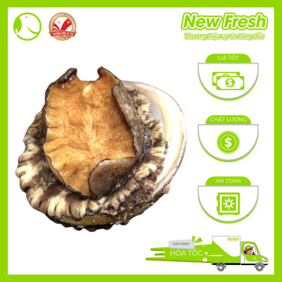 Bào Ngư Hàn Quốc Đông Lạnh - Túi 1Kg (10-12 con)
