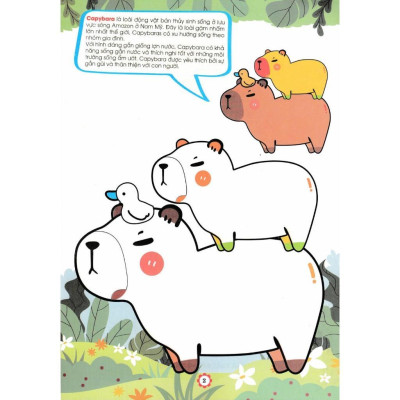 Sách - Bé Tô Màu Capybara + Kuromi - Combo 4 Cuốn - Hồng Ân