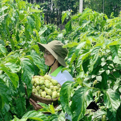 Nước cốt trái nhàu SK Noni Juice Premium 750ml