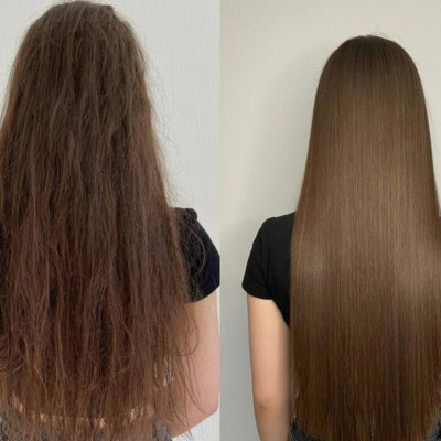 Dầu Gội Đầu Phục Hồi Tóc Yếu Dễ Gãy Rụng Chiết Xuất Tinh Dầu Ngựa Deve Natural Oil Shampoo (Chai 480 mL)