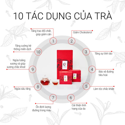 TRÀ VIỆT Hộp Quà Thịnh Vượng Giấy Gân Nổi Mỹ Thuật Cao Cấp