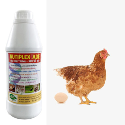Siêu Kích Trứng cho gà, vịt, cút đẻ NUTIPLEX ADE. Kéo dài chu kỳ đẻ. Trứng đẹp, vỏ dầy, tăng phôi, tăng tỷ lệ ấp nở
