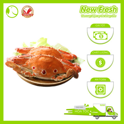 Ghẹ Xanh Nguyên Con Cấp Đông - Túi 1Kg