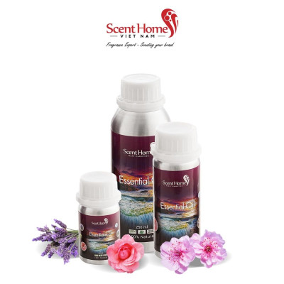 Tinh dầu Scent Homes - mùi hương (Sakura)