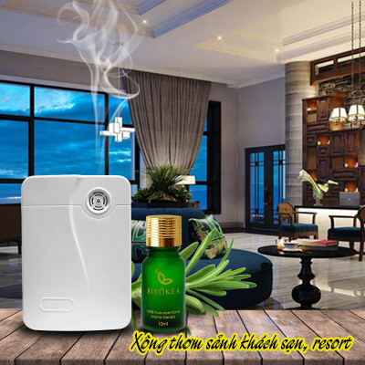 Tinh Dầu Hoa Hồi Biyokea (10ml)