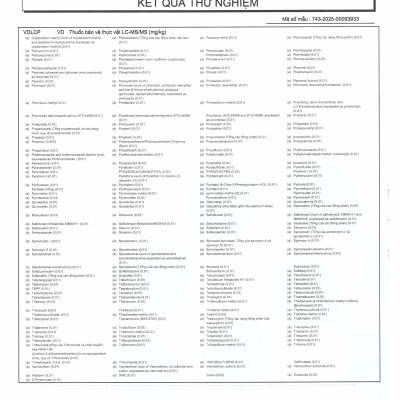 Gạo Quảng Trị VIETGAP) tốt cho NGƯỜI TIỂU ĐƯỜNG, GÚT, BÉO PHÌ TÚI 5 KG