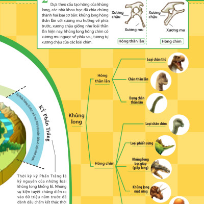 Kiến Thức Về Khủng Long - Cổ Khủng Long Mamenchisaurus Dài Bao Nhiêu? Cơ Thể Khủng Long Chứa Đầy Bí Mật