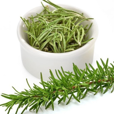 Hạt giống cây Hương Thảo Rosemary - Mê điệt hương VTS191