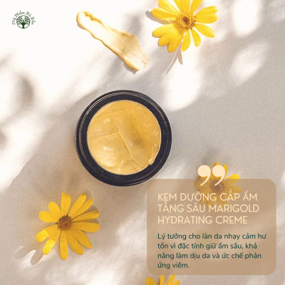 Kem Dưỡng Ẩm Chuyên Sâu, Phục Hồi Màng Ẩm Hữu Cơ Cao Cấp Mukti Marigold Hydrating Creme 100g