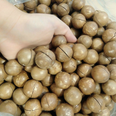 Hạt Macca Úc nứt vỏ (hũ 500gr)