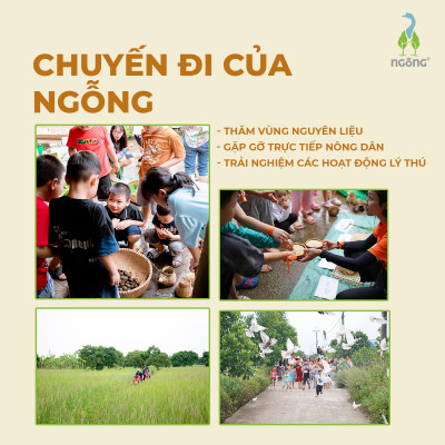 Gạo Ngỗng Sinh Thái ST25 - Gạo Sạch Ruộng Rươi Tôm Gói 700gr