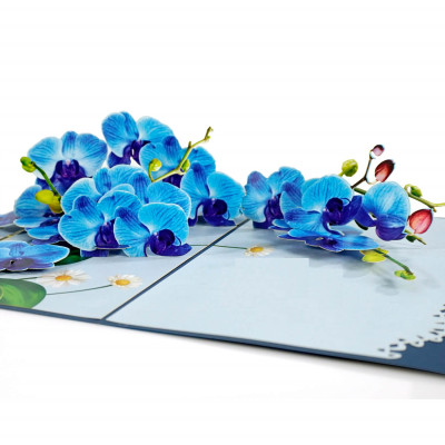 Thiệp 3D Pop Up Hoa Lan Xanh – Thiệp Hoa Nghệ Thuật, Thiệp Chúc Mừng, Sinh Nhật, Sang Trọng, F45