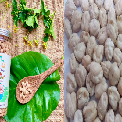 Hạt đậu gà không biến đổi gen Ấn độ/Canada size 9mm up_Chickpeas non GMO from India/Canada