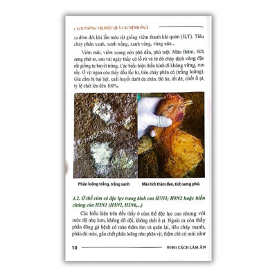 Sách - Cách Phòng Trị Hiệu Quả Các Bệnh Ở Gà - NXB Nông Nghiệp