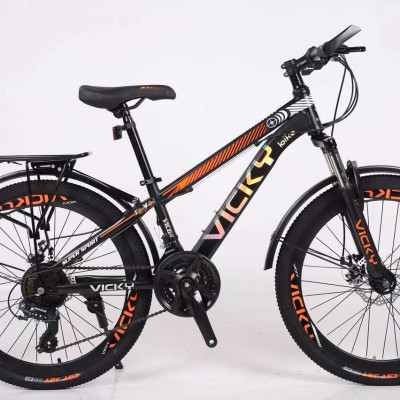 Xe đạp địa hình bánh 26 Vicky VIC660 Khung thép - Hàng chính hãng