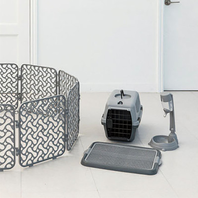 Bình nước kết hợp bát ăn không khấc Purmi nhiều màu