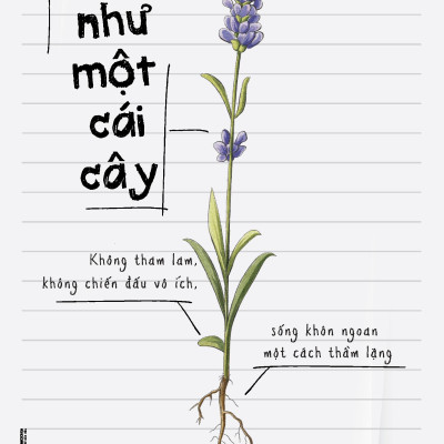 Sách - Sống Như Một Cái Cây - Không Tham Lam, Không Chiến Đấu Vô Ích, Sống Khôn Ngoan Một Cách Thầm Lặng (Tái Bản 2025)