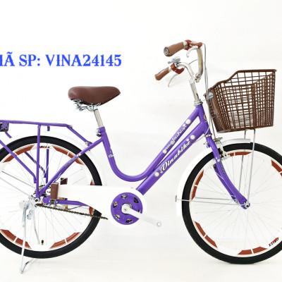Xe đạp mini vuông Vinabike 24inch